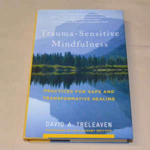 David A. Treleaven Trauma-Sensitive Mindfulness